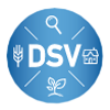 DSV Verein